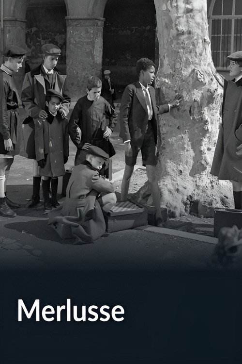Póster de Merlusse