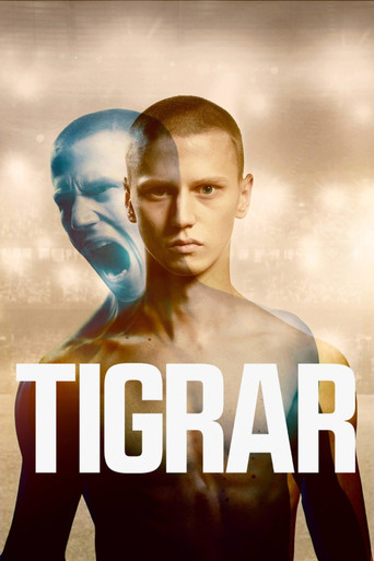 Póster de Tigrar