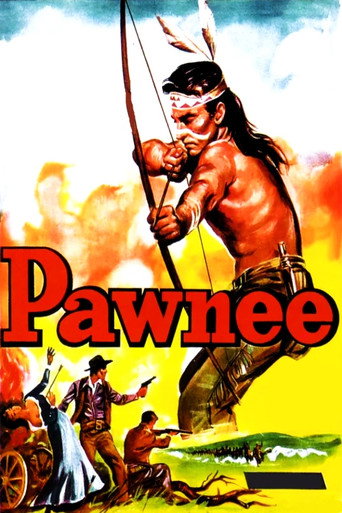 Póster de Pawnee