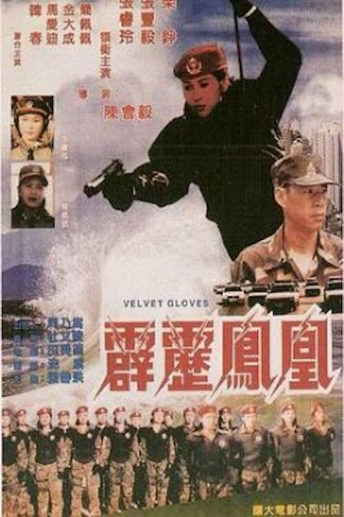 Póster de 霹雳凤凰