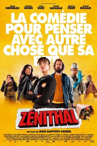 Póster de Zénithal