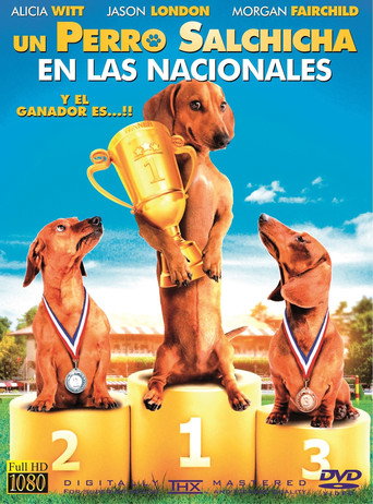 Póster de Un Perro Salchicha en las Nacionales