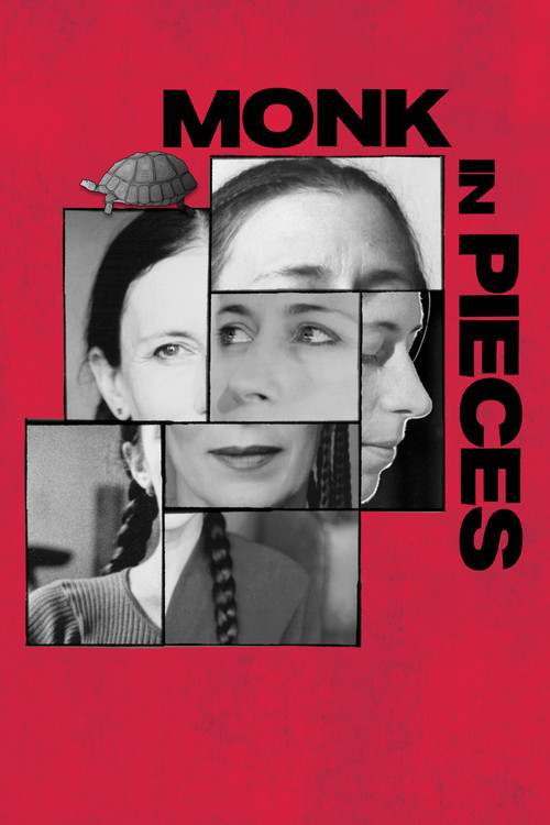 Póster de Monk in Pieces