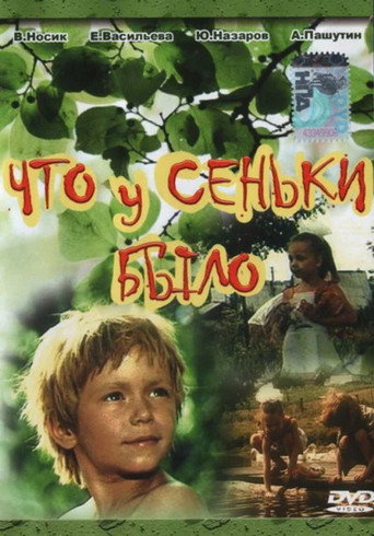 Póster de Что у Сеньки было