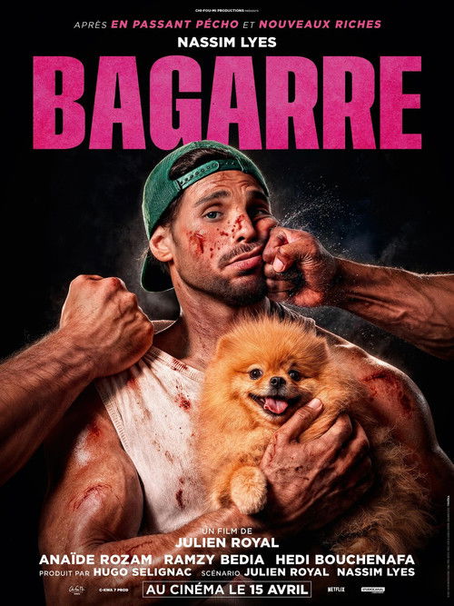 Póster de Bagarre