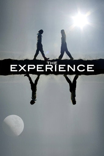 Póster de The Experience