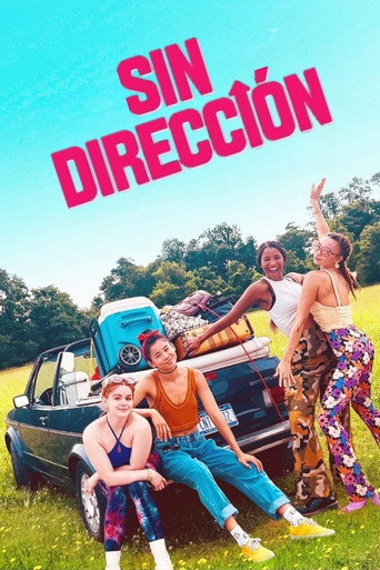 Póster de Piedras en el camino