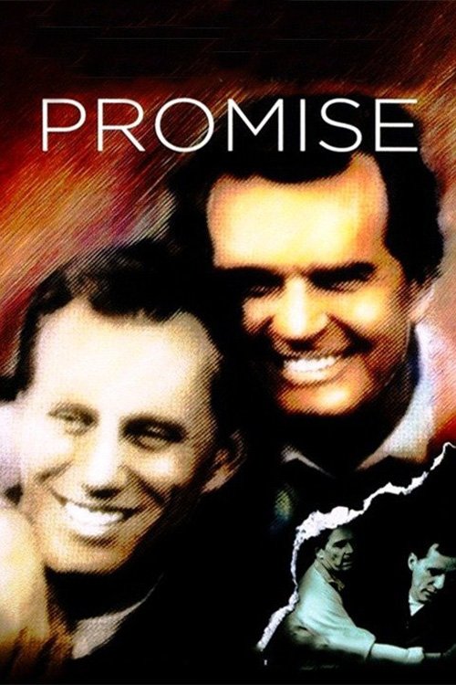 Póster de Promise