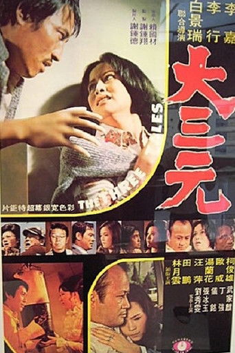 Póster de 大三元