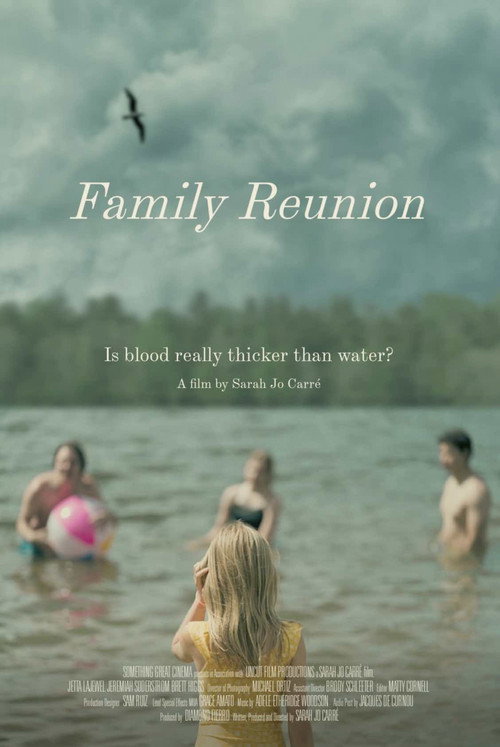 Póster de Family Reunion