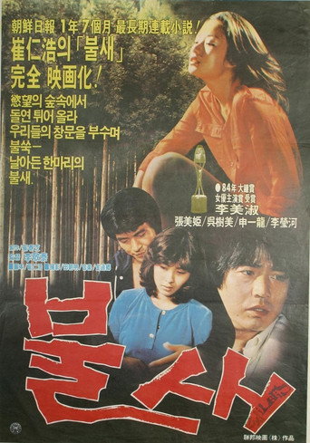 Póster de 불새