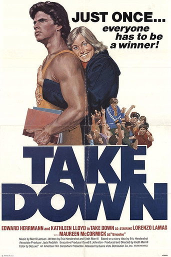 Póster de Take Down