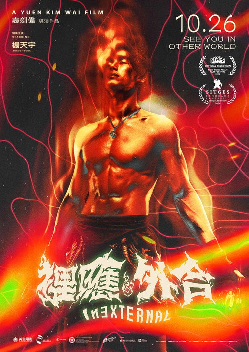 Póster de 裡應外合