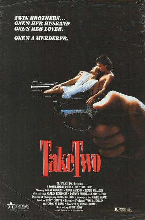 Póster de Take Two