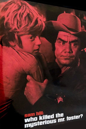 Póster de Who Killed the Mysterious Mr. Foster?