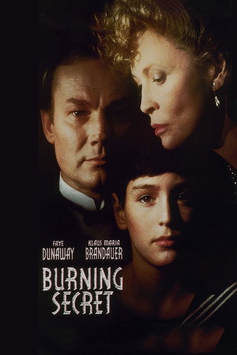 Póster de Burning Secret
