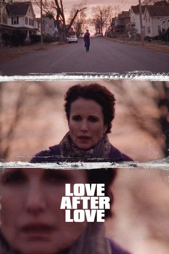 Póster de Love After Love
