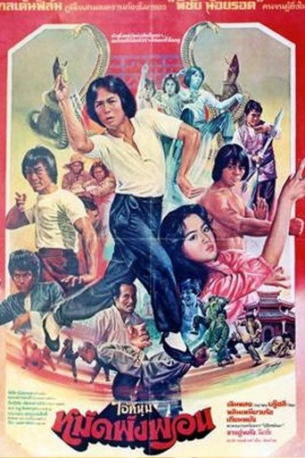 Póster de Fearless Master