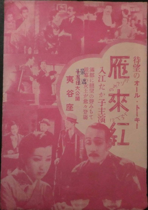 Póster de 雁來紅