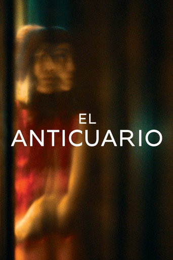 Póster de The Antique