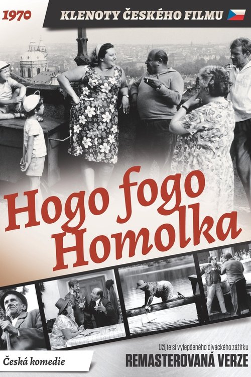 Póster de Hogo fogo Homolka