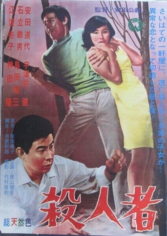 Póster de 殺人者