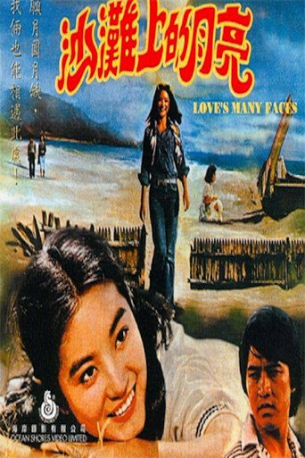 Póster de 沙灘上的月亮