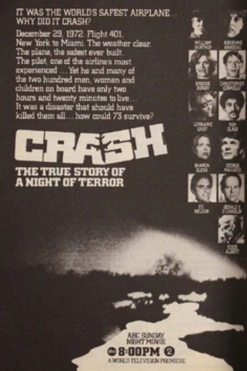 Póster de The Crash of Flight 401