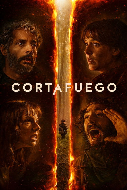Póster de Cortafuego