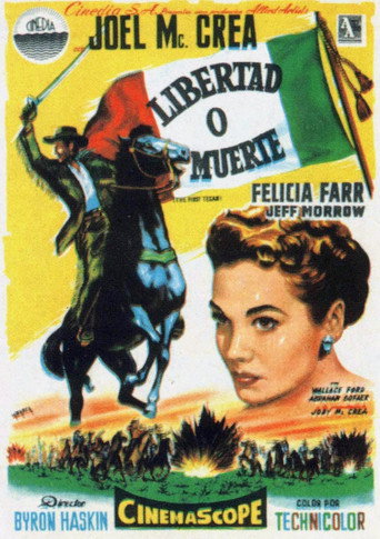 Póster de The First Texan