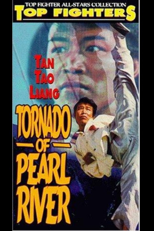 Póster de 珠江大風暴
