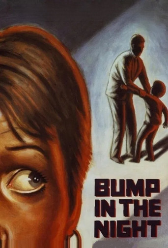 Póster de Bump in the Night
