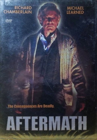 Póster de Aftermath