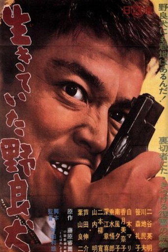 Póster de 生きていた野良犬
