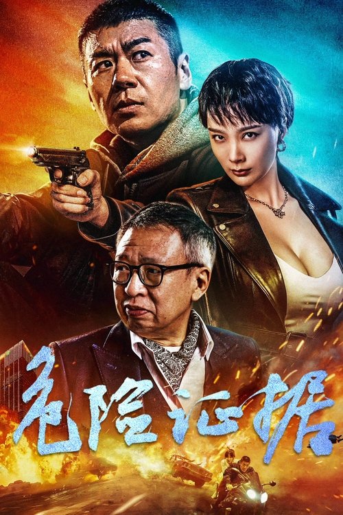 Póster de 危险证据