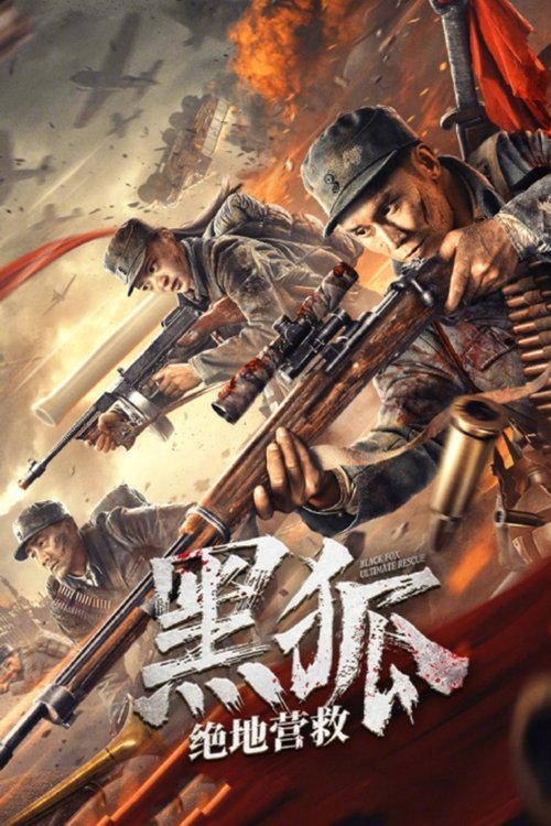 Póster de 黑狐之绝地营救