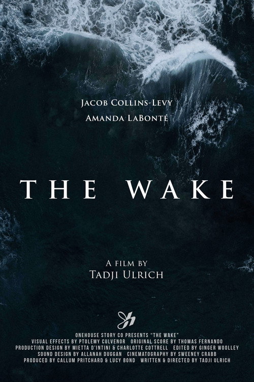 Póster de The Wake