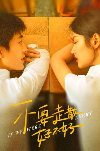 Póster de 不要走散好不好