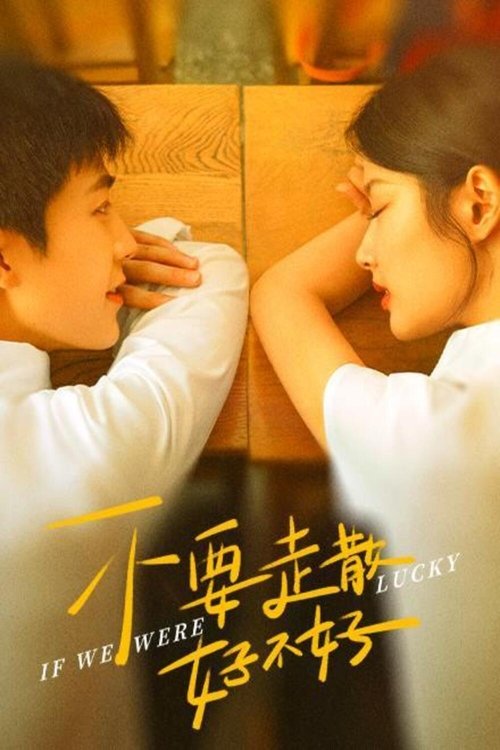Póster de 不要走散好不好