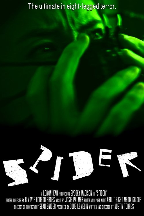 Póster de Spider