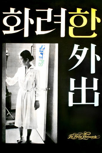 Póster de 화려한 외출