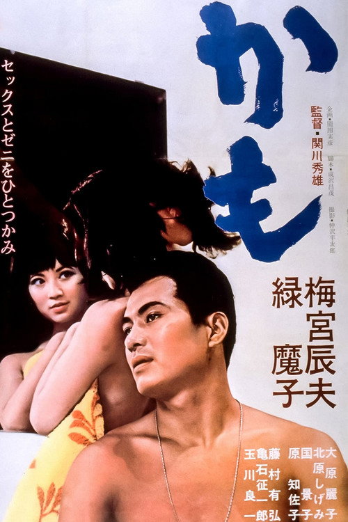 Póster de かも