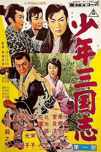 Póster de 少年三国志
