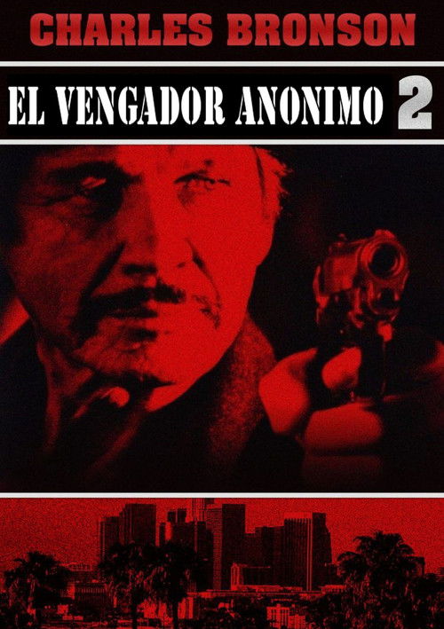 Póster de El vengador anónimo 2
