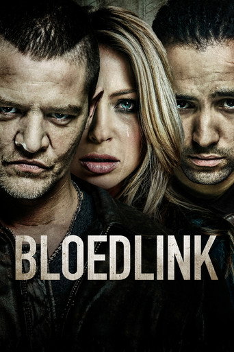 Póster de Bloedlink