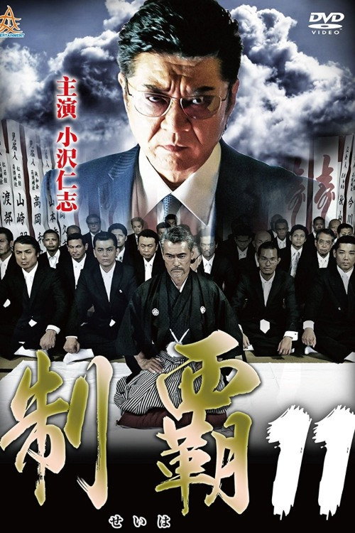 Póster de 制覇11