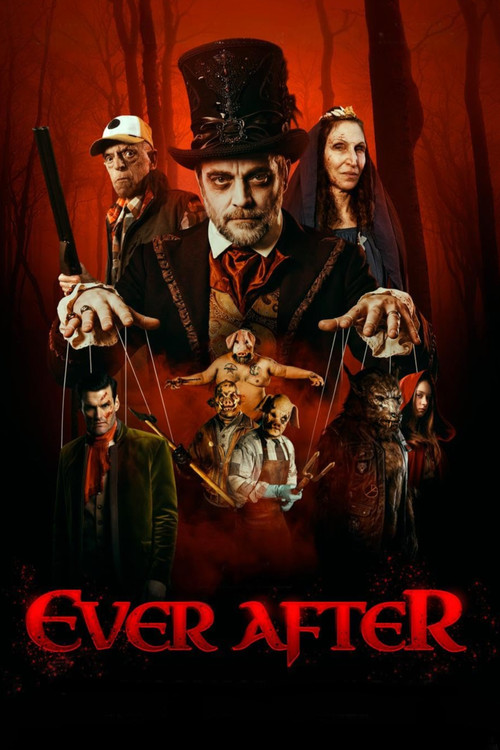 Póster de Ever After