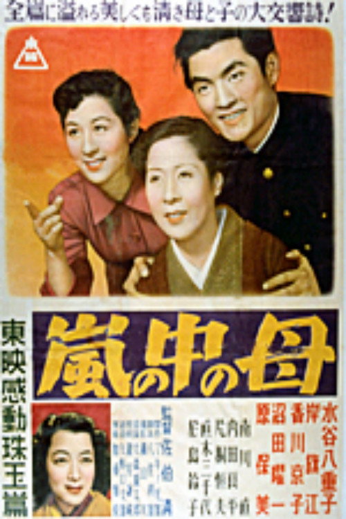 Póster de 嵐の中の母