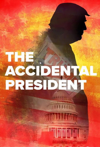 Póster de The Accidental President