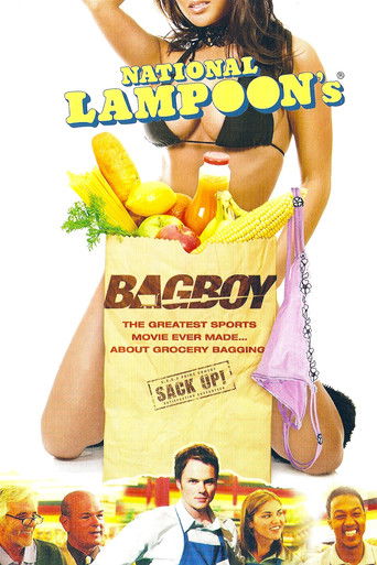 Póster de Bagboy